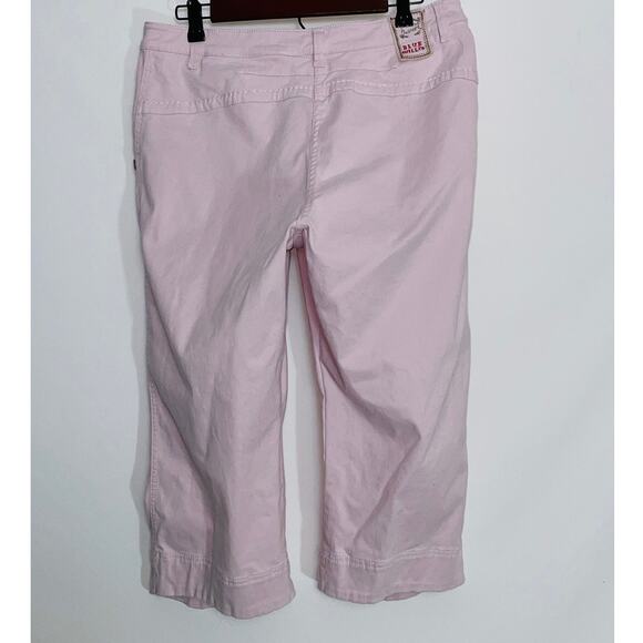Vintage Blue Willi's Pink Capri Pants - Women's Size 42 (10 US) - With Stretch - Picture 2 of 11